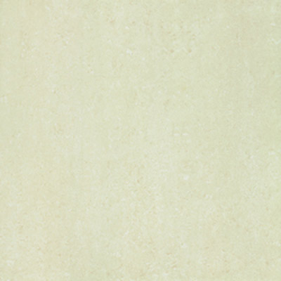 Gạch Taicera 60x60 P67313N