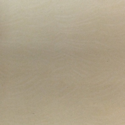 Gạch Taicera 60x60 P67403N