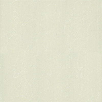 Gạch Taicera 60x60 P67595N - Image 4