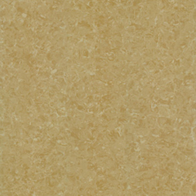 Gạch Taicera 60x60 P67771N
