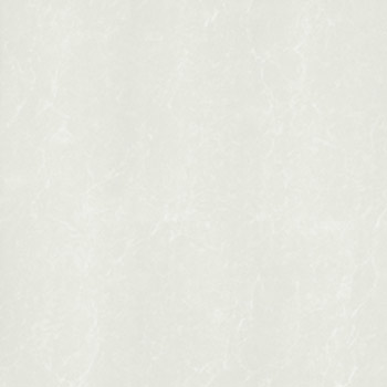 Gạch Taicera 80x80 P87216N - Image 5