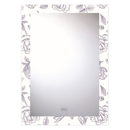 Gương phòng tắm Đình Quốc DQ 4188 (50x70)