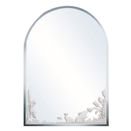 Gương phòng tắm Đình Quốc DQ 4236 (45x60)