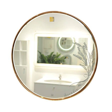 Gương phòng tắm Đình Quốc DQ 4813 (80x100) - Image 5
