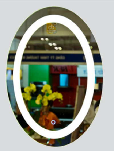 Gương phòng tắm Đình Quốc DQ8813 (80x100cm) - Image 5