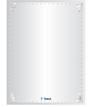 Gương phòng tắm HOBIG HB2-757 (60x80cm 1-2 lớp) - Image 4