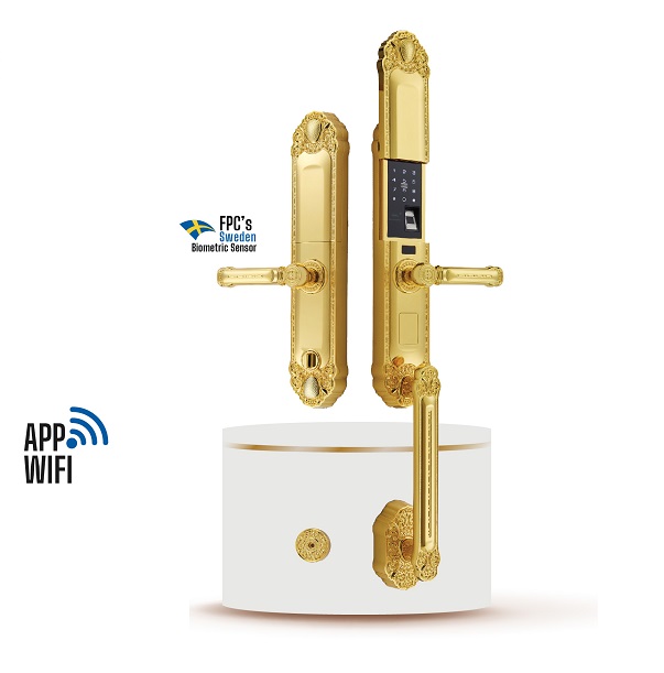 Khóa cửa đại sảnh mạ đồng cổ Faster FS009 AC - Image 5
