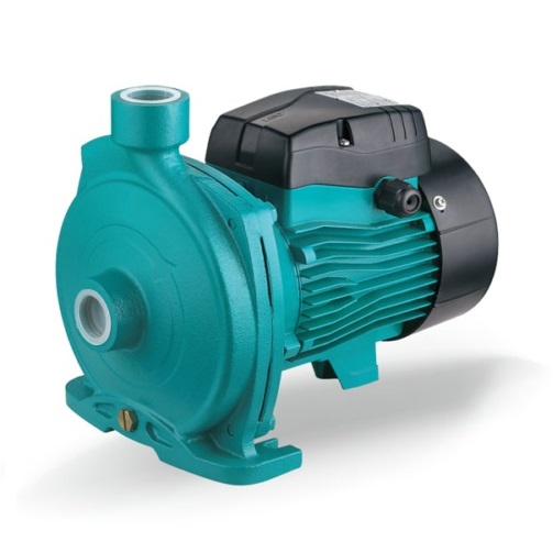 Máy bơm nước ly tâm 2 tầng cánh Lepono 2AC 300H - Image 3