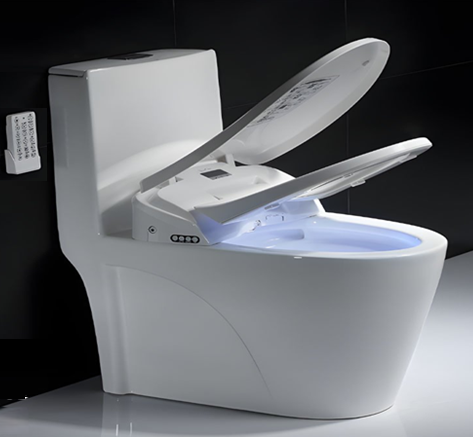 Nắp bồn cầu điện tử Tewon TSA1901