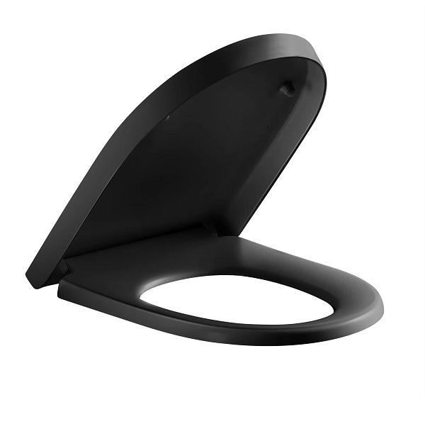 Nắp bồn cầu giá rẻ Hùng Anh HA05 (nắp êm) - Image 4