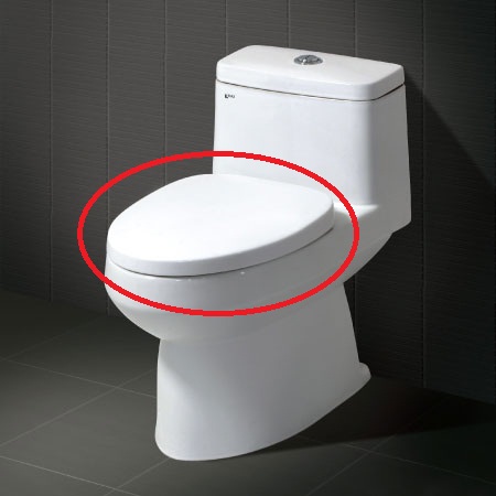 Nắp bồn cầu Royal RA-001N (Nắp êm) - Image 3