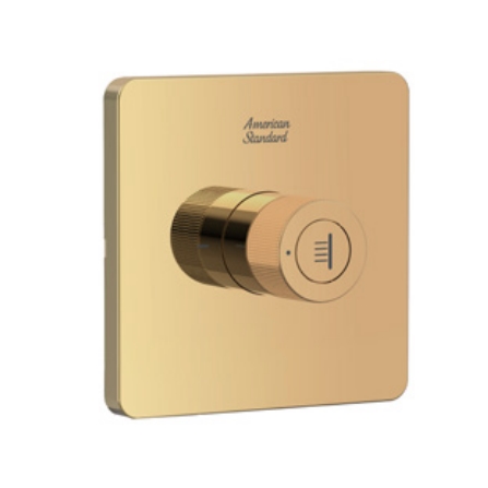 Thanh nối đầu sen màu vàng hồng American Standard FFAS9908WS - Image 5