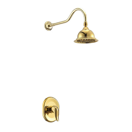 Vòi hoa sen tắm mạ vàng Daelim M2759B (Đặt hàng 10 ngày) - Image 6