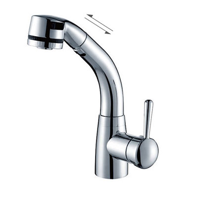 Vòi rửa bát Rlife RB-008